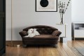 Sofa dla psa REX STANDARD ( FRESH 04 ) - aranżacja