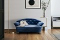 Sofa dla psa REX STANDARD ( FRESH 11 ) - aranżacja