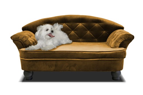 Sofa dla psa REX STANDARD ( FRESH 37 ) - bryła, front